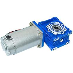 Bemonoc NMRV040 High Torque DC 12V Low Speed 22RPM Worm Gear Motor Large Power 250W with Gearbox Speed Reducer Ratio 80/1