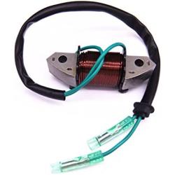 Boat Motor 61N-81313-09 T20-06040003 Lighting Coil for Yamaha Parsun MakaraHDX C 25HP 30HP 2-Stroke Outboard Engine E25B E30H