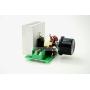 Q-BAIHE 3800W SCR Voltage Regulator Module AC Motor Speed Controller