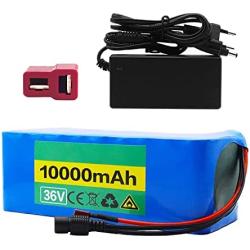 36V 10Ah E-Bike Lithium-Ion Battery, Rechargeable Replacement Battery Pack, Built-in BMS with 42V 2A Charger, for 500W Motor