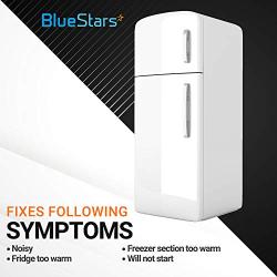 WR60X10141 Refrigerator Evaporator Fan Motor Replacement by BlueStars - for GE Hotpoint Fridges - Replaces WR60X31522 WR60X23584 AP5955766 WR60X10346 PS10063450 WR60X10045 WR60X10046