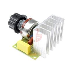 AC 110V 220V Speed Controller 3800W SCR Voltage Regulator Dimming Switch Temperature Control Motor Speed Control for Smart Home