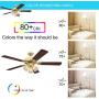 Ciata Lighting 52 Inch Vintage Indoor Ceiling Fan with Dimmable LED Light Fixture and Clear Ribbed Glass in Polished Brass Finish with Reversible Walnut/Oak Blades