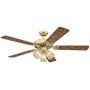 Ciata Lighting 52 Inch Vintage Indoor Ceiling Fan with Dimmable LED Light Fixture and Clear Ribbed Glass in Polished Brass Finish with Reversible Walnut/Oak Blades