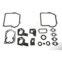 ENGINE GASKET KIT for Briggs & Stratton 494550 495605 Lawn Mower Tractor Motor