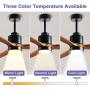 Quiet 52” Wood Ceiling Fans with Lights and Remote Moisture-proof Outdoor Ceiling Fan for Patios, 6 Speeds Ceiling Fan for Living Bedroom Kitchen, 3 Light Color, Timer Function, Reversible Motor