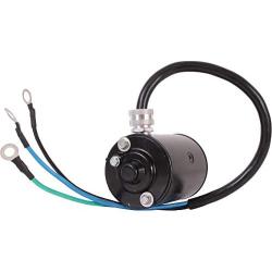 DB Electrical 430-20095 Power Tilt Trim Motor for OMC 2.5 2.5L 3.0 3.0L 79 80 81 82 83 84 85/982069 982073 983318 /ESQ4005 ESQ4008 ESQ4010 ESQ4017 / 12 Volt