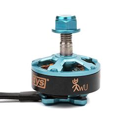 DYS Samguk Series Wu 2206 2700kv Motor