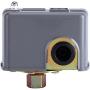 Water Pump Pressure Controller, 40-60 PSI Water Pump Pressure Control Switch Adjustable Double Spring Pole for Self-priming Pump Jet Pump Garden Pump
