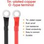 PAEKQ 10 Gauge Tray Cables Solar 10AWG(6mm²) Power Inverter Battery Cables PV Tinned Copper Electrical Wire with O-Type Terminal for Solar Panel Marine Boat RV Automotive Harness Wiring(10FT)