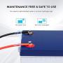Renogy 12V 200AH Rechargeable Deep Cycle Hybrid Gel Battery for Solar Wind RV Marine Camping UPS Wheelchair Trolling Motor, Maintenance Free, Non Spillable