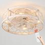 Retro Small Ceiling Fan With Light Remote Control, Coming With E26 Warm Color Bulb(changeable), Low Profile Ceiling Fan With Light, Ceiling Fans With Lights Flush Mount, Caged Ceiling Fan With Light
