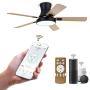 AvatarControls Smart 50 inch Ceiling Fans Indoor with Light Remote Works with Alexa Google Voice, APP and Remote Control for Bedroom, 6 Speeds Reversible DC Motor, 1800LM LED Kit, 5 Wooden Blades