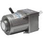 Bemonoc 25W AC 220V 50/60HZ Adjustable Variable Gear Reducer Motor 22RPM & AC Speed Controller Kits CW CCW for industry
