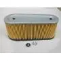 Tecumseh 36356 Air Filter