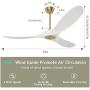 Ghicc White Ceiling Fan with Remote Control 50