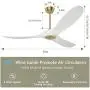 Ghicc White Ceiling Fan with Remote Control 50