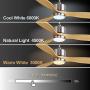 Ovlaim 52 Inch Smart Wifi Ceiling Fan Compatible App, Voice and Remote Control, Quiet DC Motor 6 Speed Ceiling Fan with Dimmable Light, 3 Oak Wood Blade