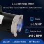 B2854 Square Flange Pool Motor,1-1/2 HP,3450 RPM, 8.0/16.0 Amps, 1.1 Service Factor, 56Y Frame, PSC, ODP Enclosure, Pool and Spa Pump Motor