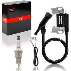 1PZ HG2-F07 Ignition Coil with Spark Plug for Predator 420cc 5000W 6500W 7000W 8750W Gas Generator Engine