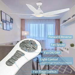 White Ceiling Fan, Newday 60 Ceiling Fans with Lights and Remote, Modern Large Ceiling Fans, Noiseless Reversible DC Motor, Big Indoor Ceiling Fans for Kitchen, Bedroom, Living Room (NEW)