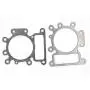 Replaces Briggs & Stratton 796584 Cylinder Head Gasket for BS 699168 692410