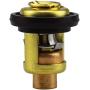 YIXIN 688-12411 6H3-12411 6E5-12411 T15-04000010 Thermostat Fit for Yamaha Parsun Makara Marine 2-Stroke 3HP 15HP 25HP 30HP 40HP - 250HP Outboard Motor