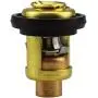 YIXIN 688-12411 6H3-12411 6E5-12411 T15-04000010 Thermostat Fit for Yamaha Parsun Makara Marine 2-Stroke 3HP 15HP 25HP 30HP 40HP - 250HP Outboard Motor
