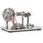 Sunnytech Hot Air Stirling Engine Motor Model Educational Toy Electricity Generator Colorful LED SC02M-SC001