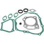JINFANNIBI Complete Engine Gasket and Seal Kit Compatible for Golf Cart Motor Engine 357CC Rebuild Kit Yamaha G21A G22A G23A G27A G28A YDRA 2000-2013