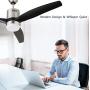 Nocolliny 52” 3 Blade Ceiling Fan with Dimmable LED, Reversible Motor and 3 Speed Settings, Remote Control