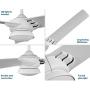 Edwige Collection 3-Blade White 52-Inch DC Motor LED Contemporary Ceiling Fan