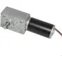 TSINY Small High Torque 24 Volt Reversible 120RPM DC Worm Gear Motor for BBQ Drive Replacement