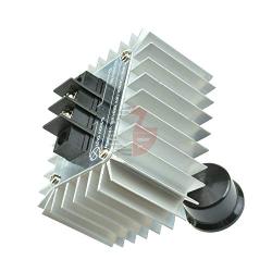 220V 5000W SCR Voltage Regulator Motor Speed Controller Light Dimming Dimmers Thermostat Speed Regulator Governor for LED Light