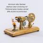 Omabeta Stirling Engine Motor Model, Multi Color LED Stainless Steel Rod Stirling Engine Motor Toy Thickened Glass Gold for Teaching Props