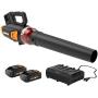 WORX WG584 40V Power Share Turbine Cordless Leaf Blower with Brushless Motor (2x20V Batteries) & WG261 20V Power Share 22-Inch Cordless Hedge Trimmer, Battery and Charger Included, Black and Orange