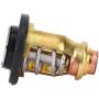 Acouto Boat Engine Thermostat, 67F-12411-01 Boat Motor Thermostat Valve Fit for Yamaha F75 F80 F90 F100 F150 VF200 3P-225P Horsepower Outboard