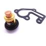 SouthMarine Boat Engine 6E5-12411-00 6E5-12411-02 Thermostat and 682-12414-A1 Gasket for Yamaha 9.9hp 15hp 2-Stroke E9.9B E15B 9.9C Outboard Motor