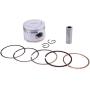 Glixal ATMT1-038 GY6 100cc 50mm Piston Set with Rings for 139QMB 139QMA Engine Scooter Moped ATV Go Karts JONWAY,JMSTAR,ROKETA,SUNL,TANK,PEACE,TAOTAO,Dongfang,Kazuma,JCL,BMS
