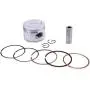 Glixal ATMT1-038 GY6 100cc 50mm Piston Set with Rings for 139QMB 139QMA Engine Scooter Moped ATV Go Karts JONWAY,JMSTAR,ROKETA,SUNL,TANK,PEACE,TAOTAO,Dongfang,Kazuma,JCL,BMS