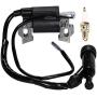 HIFROM Replacement Ignition Coil with Spark Plug Compatible with Harbor Freight Predator 212cc 6.5HP OHV Horizontal Engine 69730 69727 Go Kart