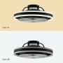 Ceiling Fan with Light, Semi Flush Mount Modern Indoor 20