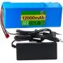 SHENGANG E-Bike Lithium-Ion Battery Pack 48V 12Ah with 54.6V Charger and BMS,XT60, for 250W/350W/500W/750W/1000W Electric Bicycle/Scooter Motor,T60