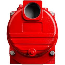 Red Lion 97101501 RL-SPRK150 44 PSI Cast Iron Self-Priming Lawn Sprinkler Pump for Residential and Commercial Sprinkling Systems