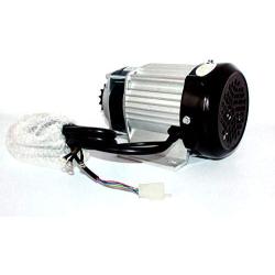L-faster 60V 750W BLDC Motor Scooter Bike Tricycle Gear Motor Rickshaw Brushless Motor E-Tricycle Motor