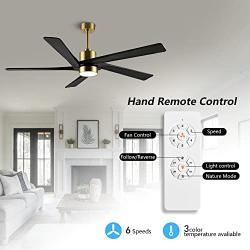 WINGBO 54 Inch DC Ceiling Fan with Lights and Remote Control, 5 Reversible Carved Wood Blades, 6-Speed Noiseless DC Motor, Modern Ceiling Fan in Brass Finish with Black Blades, ETL Listed
