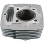 NICECNC Engine Cylinder Piston Top End Rebuild Kits Compatible with Honda CB125S 1976-1985,CL125S 1973-1974,XL125 1976 1977 1978,SL125 1971 1972 1973