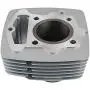 NICECNC Engine Cylinder Piston Top End Rebuild Kits Compatible with Honda CB125S 1976-1985,CL125S 1973-1974,XL125 1976 1977 1978,SL125 1971 1972 1973 NICECNC Engine Cylinder Piston Top End Rebuild Kits Compatible with Honda CB125S 1976-1985,CL125S 1973-1974,XL125 1976 1977 1978,SL125 1971 1972 1973