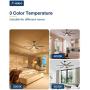 Amico Ceiling Fan with Lights, 66