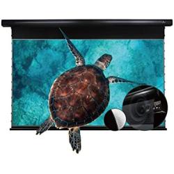 VIVIDSTORM-ALR Screens,Perforate Sound Transparent ALR UST Motor Tension Screen,Electric Tab-tensioned Drop Down Screen,16: 9 Home Theatre System Compatible with UST Laser TV Projector,VBMLUST84HP